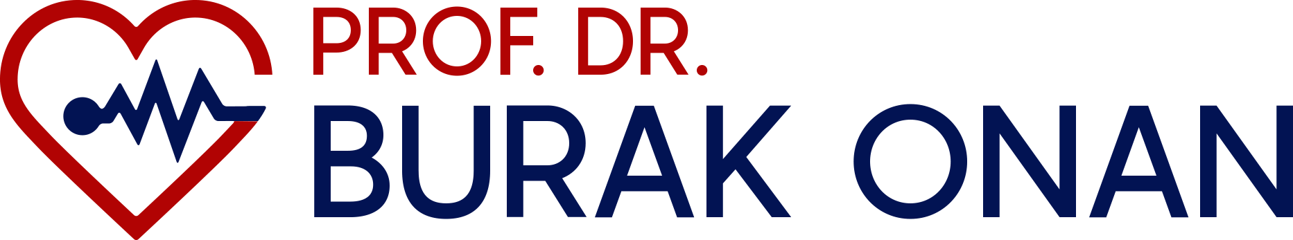 Prof. Dr. Burak Onan